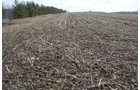 Property photo 11 - 98+/- Acres Offered in 6 Tracts or Combinations, Noble County, Indiana Farm